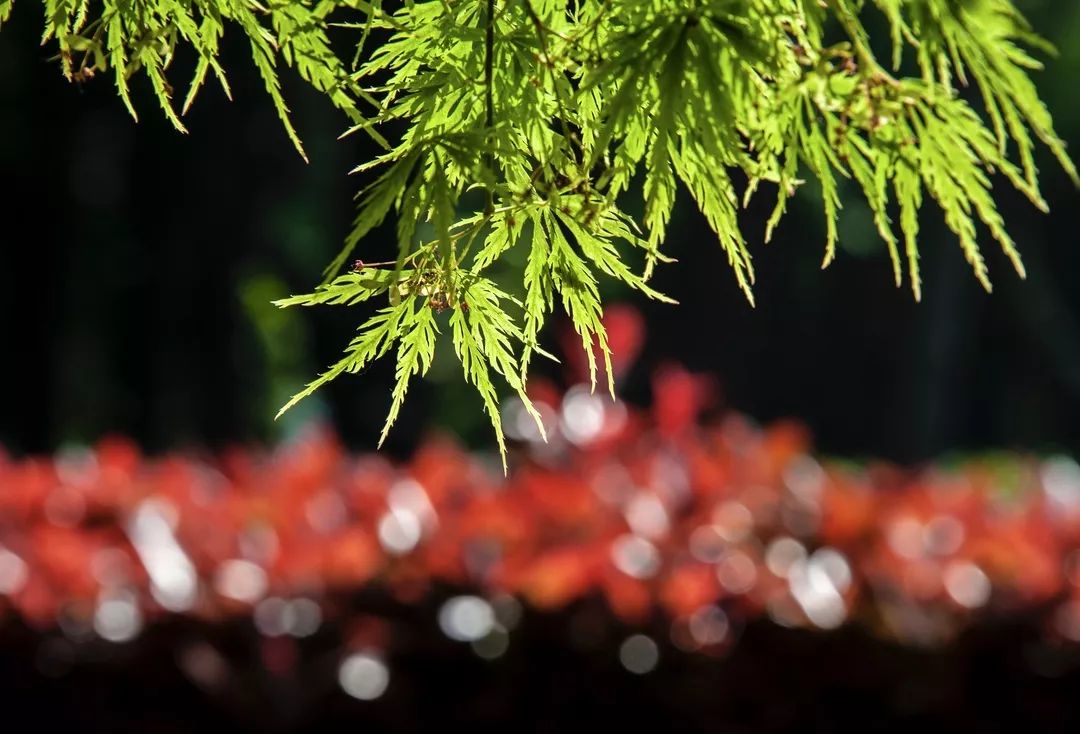 视觉张家港丨一周精选（66）