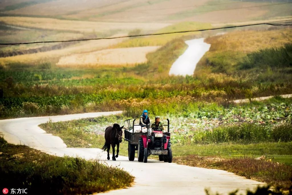 秋分中国农民丰收节对孩子的寄语,农历秋分日为中国农民丰收节