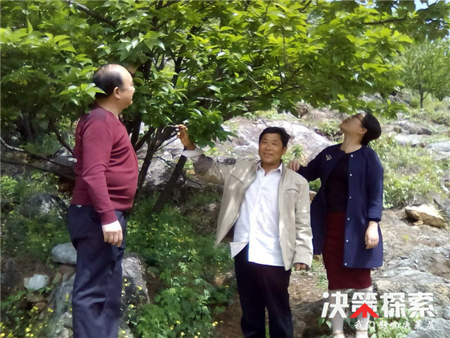 桃溪扶贫,乡村就业促脱贫