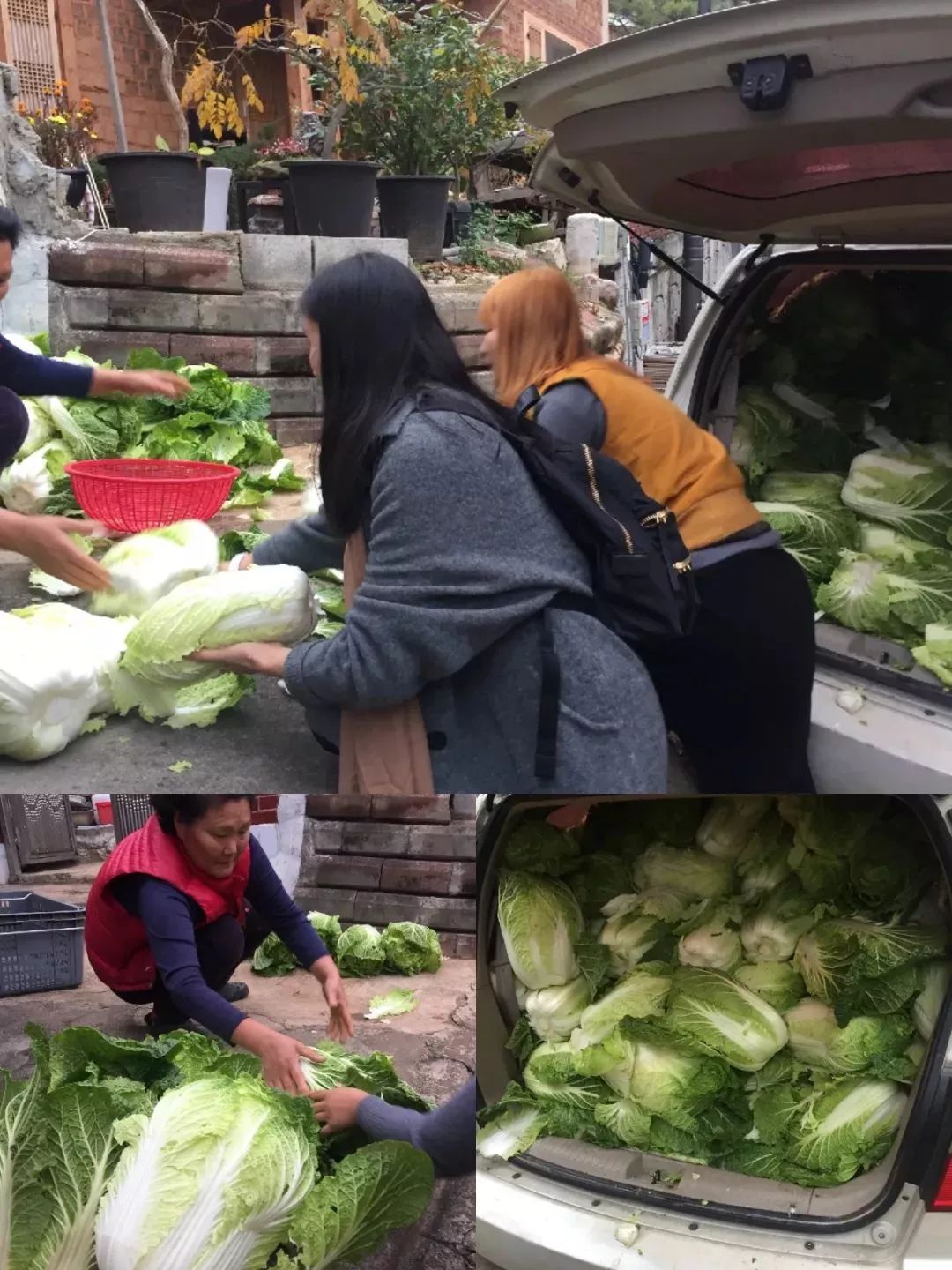 她连续三年，走遍大半个韩国学习传统泡菜，改良后的泡菜，要排单一个星期以上才能买到！