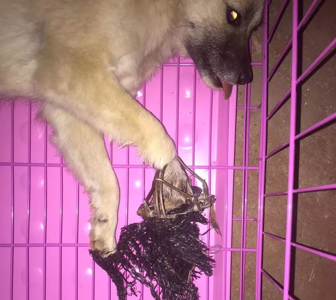 志愿沂蒙莒南,志愿沂蒙心连心