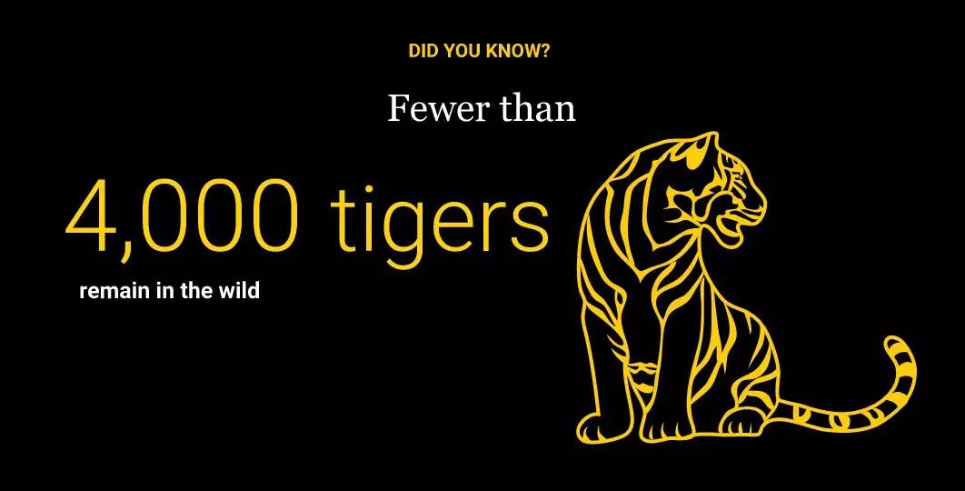 “谢谢你们,我们终于快死光了”