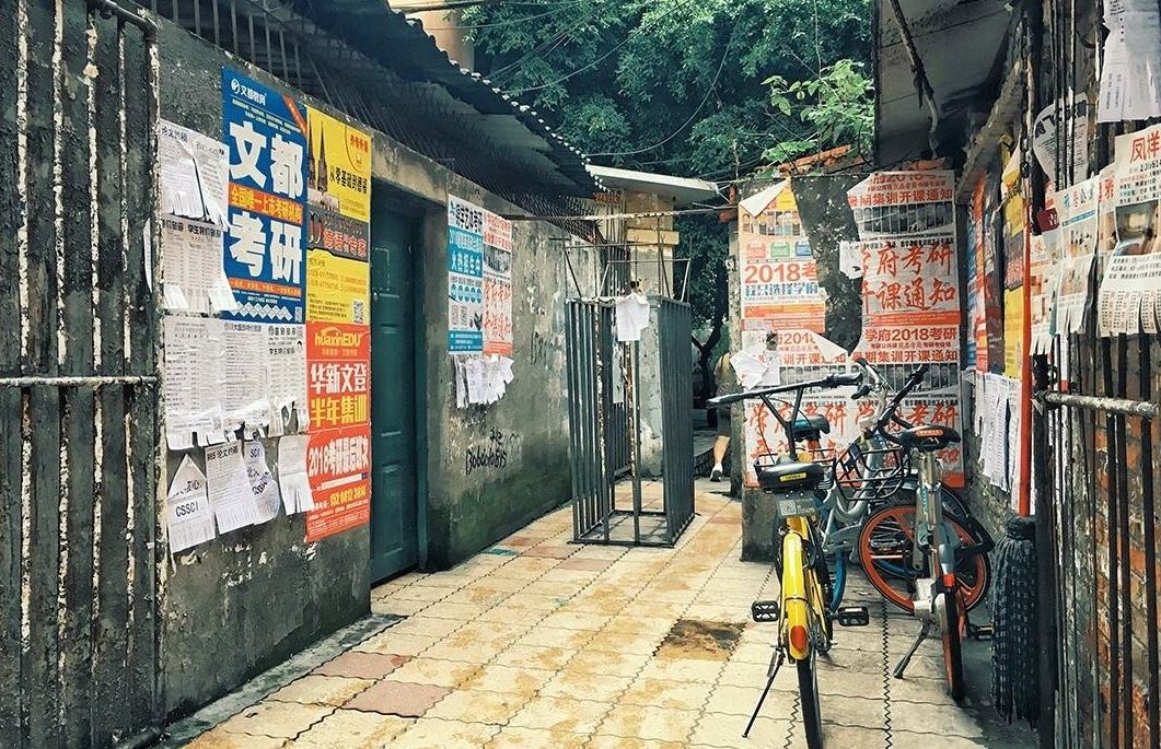 川大望江校区周边拍照打卡地,宝藏公园免费拍照地点