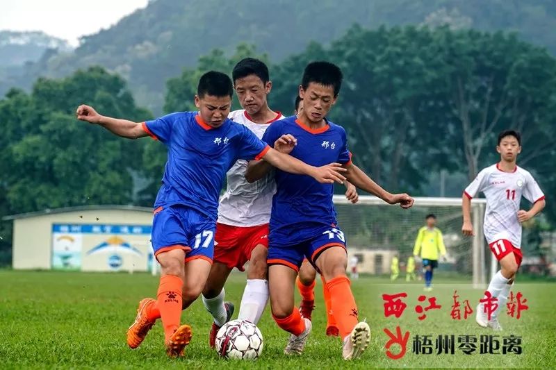 青运会毽球比赛直播回放,第二届青运会足球比赛直播