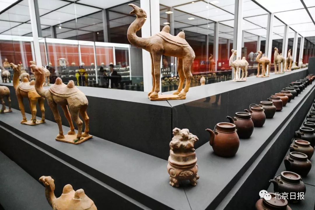 聚焦｜归来！意大利到北京，700余件中国*物文**的回家路走了12年