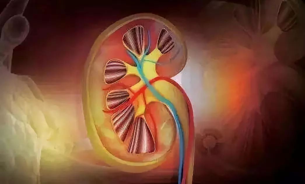 樱桃几月份吃才是应季水果,5月樱桃正当时多吃樱桃好处多