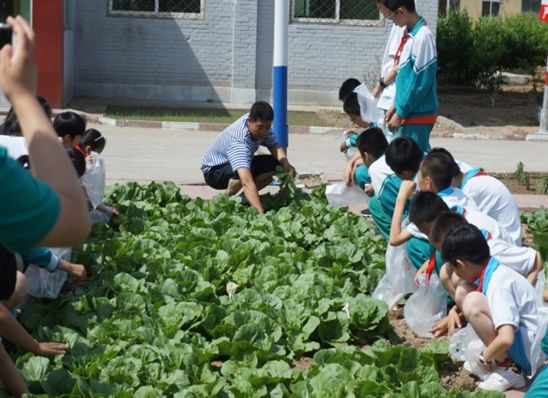 小学里的“大空间”,让课程成为孩子们童年的“甲板”