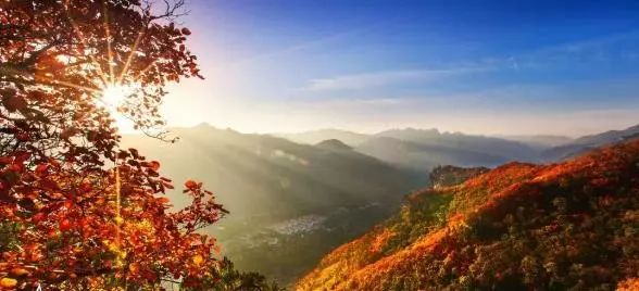 “五一”去哪玩?潍坊假期超丰富文旅大餐来袭!