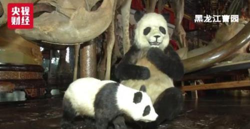 住建局对于违建的处理,最新中央严查违建别墅消息