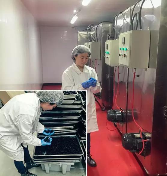 从拾破烂成为世界首富,从白手起家到行业标杆十年征程