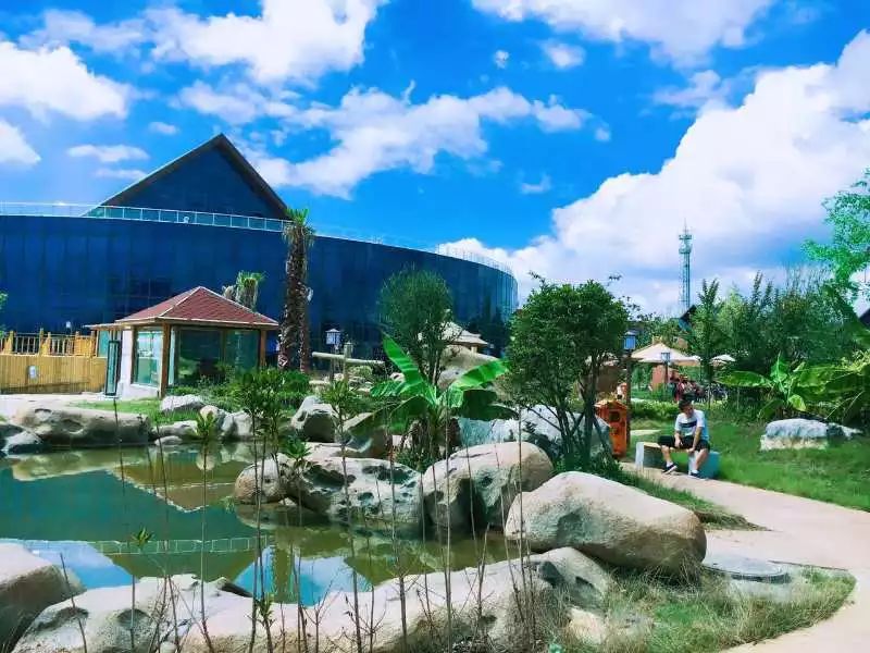 娴峰彛瑗挎捣宀告俯娉夊摢閲屽ソ,闈掑矝瑗挎捣宀告俯娉夊摢閲屽ソ