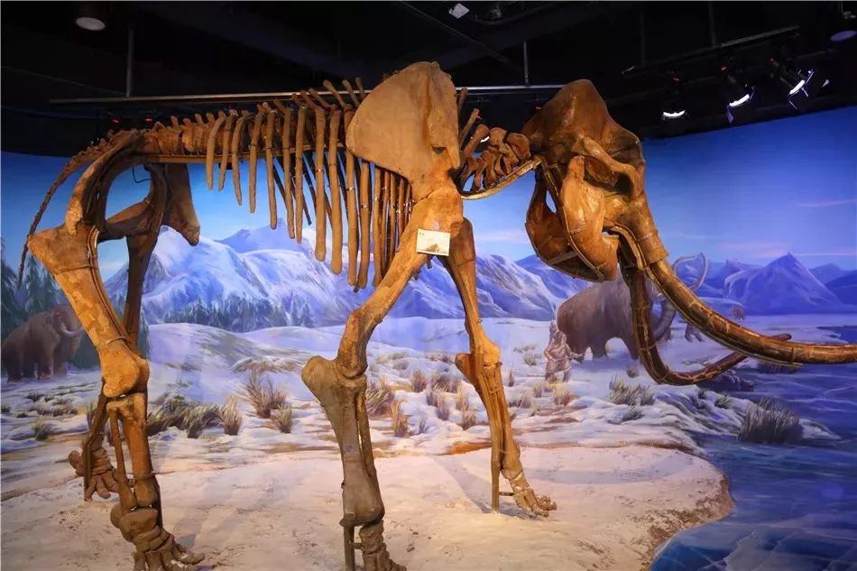 汉口里五一节有什么活动,汉口里五一活动