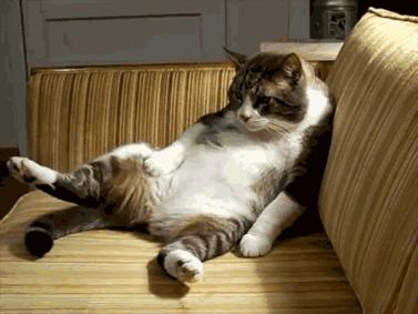 璁╃數鑴戣嚜鍔ㄥ彂娑堟伅,璁╃數鑴戣嚜鍔ㄥ彂淇℃伅