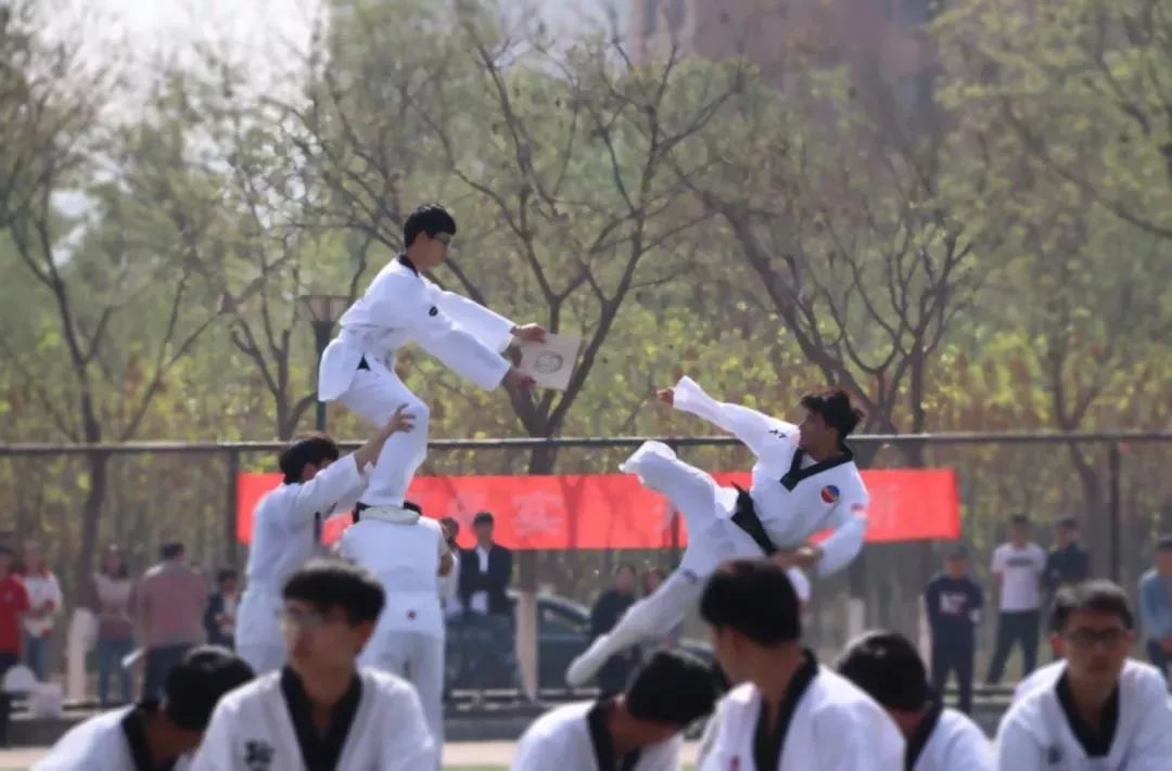 湖南省第四届中学生运动会秩序册,运动会秩序手册