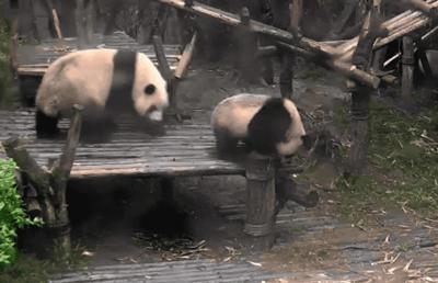 你才可爱你全家都可爱出处,你才可爱你全家都可爱怎么回