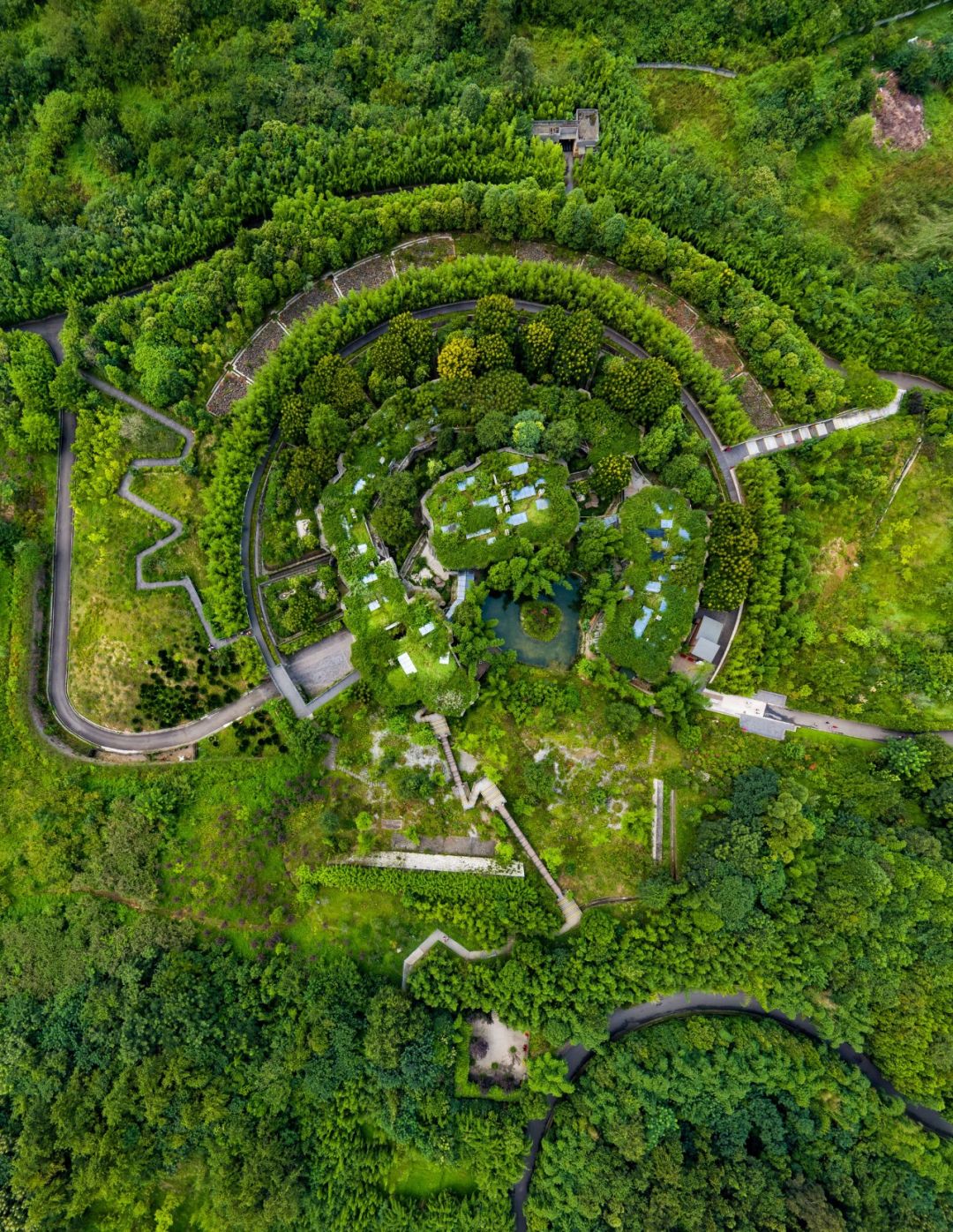 【荐读】熊猫:萌啥子哟,我是要雄起!