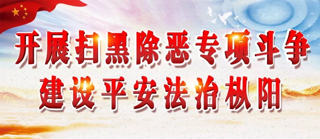 2019枞阳中学光荣榜,铜陵枞阳光荣榜
