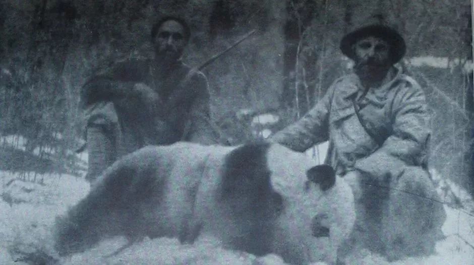 熊猫萌啦,熊猫萌