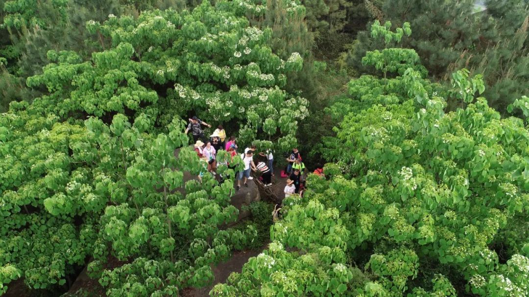 不必远行自有风景,不必远行在家度假