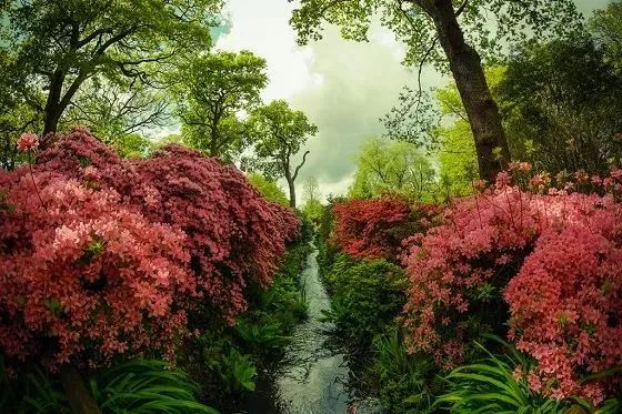 待天气晴好,伦敦阴雨天去哪旅游好
