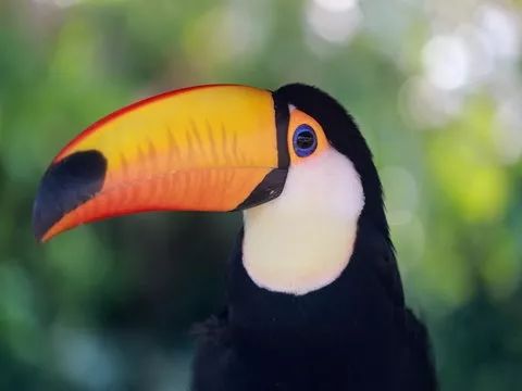 去处｜你真的知道怎么玩转上海野生动物园吗？最全指南在这里！