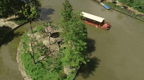 上海野生动物园游览攻略,上海野生动物园的旅游路线示意图