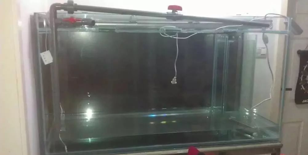 3000块的DIY罗缸，值么？