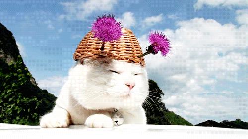 五一旅游最适合去哪里还没有雨,五一出游天气很重要