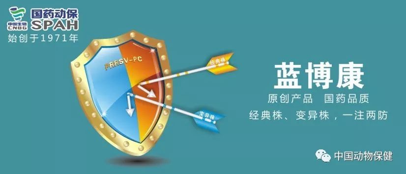 猪价涨了，复产！《防控非洲猪瘟恢复生猪生产九项关键技术》发布