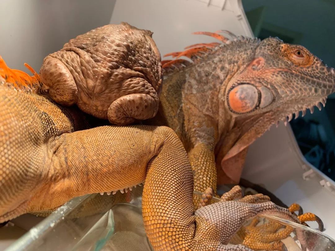 太震撼了！85后帅哥笔下的鬼神世界，迷倒了上万人......