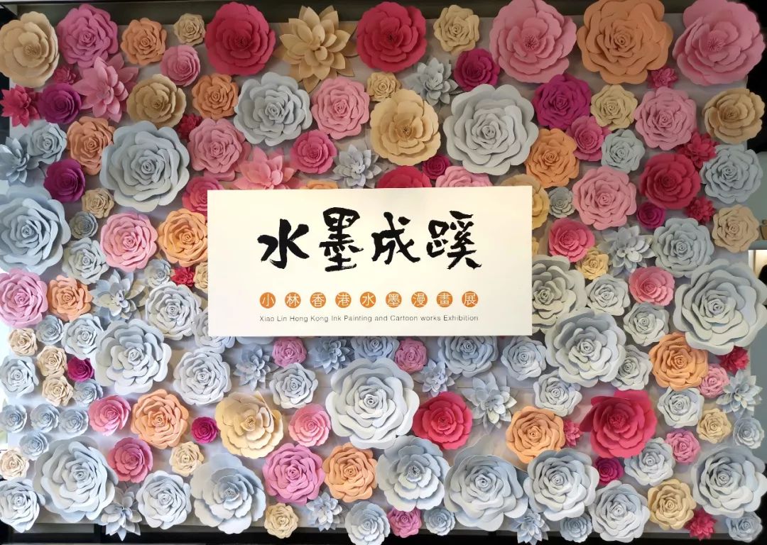 小林的专访,小林最新访谈节目