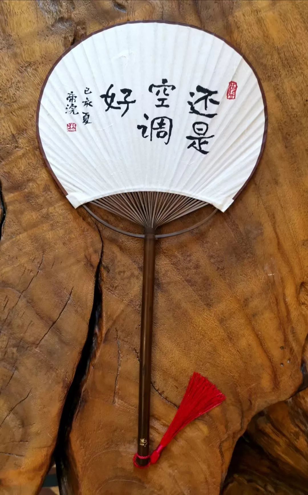 小林的专访,小林最新访谈节目