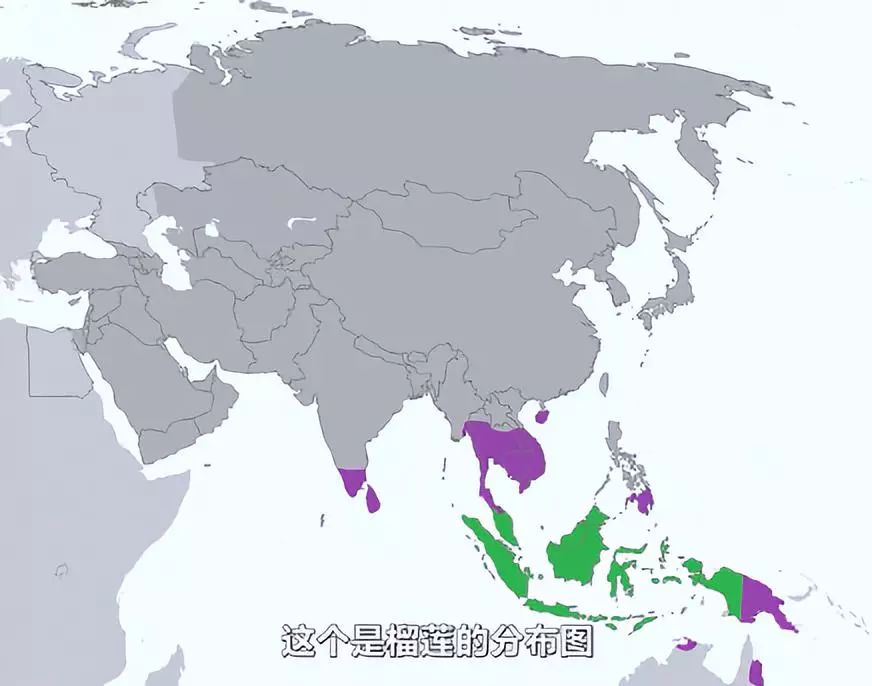 真正爱吃水果的人，能为榴莲花掉50万