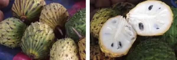 喜欢吃榴莲的人有钱,真正爱吃水果的人