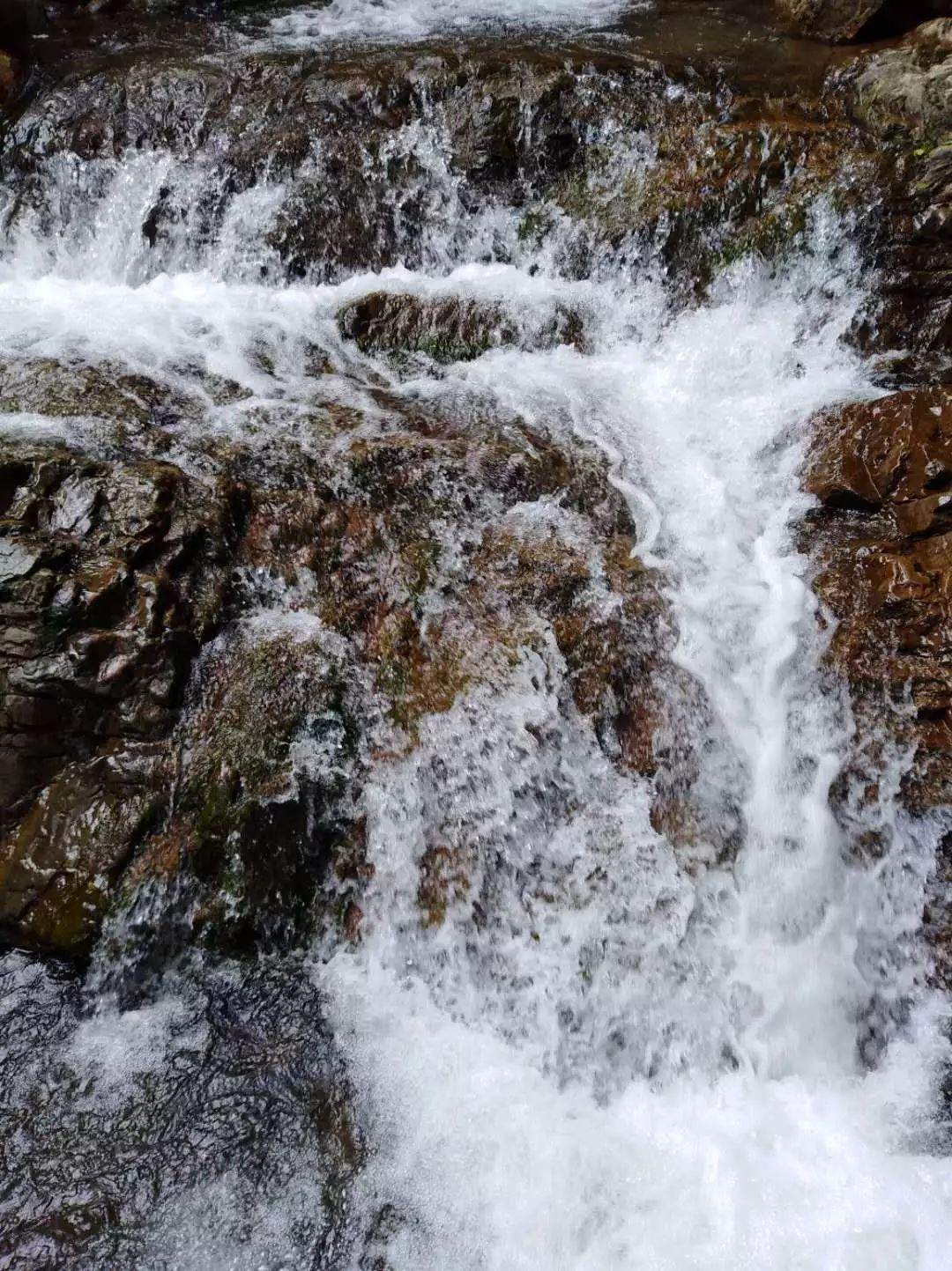 拒绝人从众模式,拒绝人从众的意思