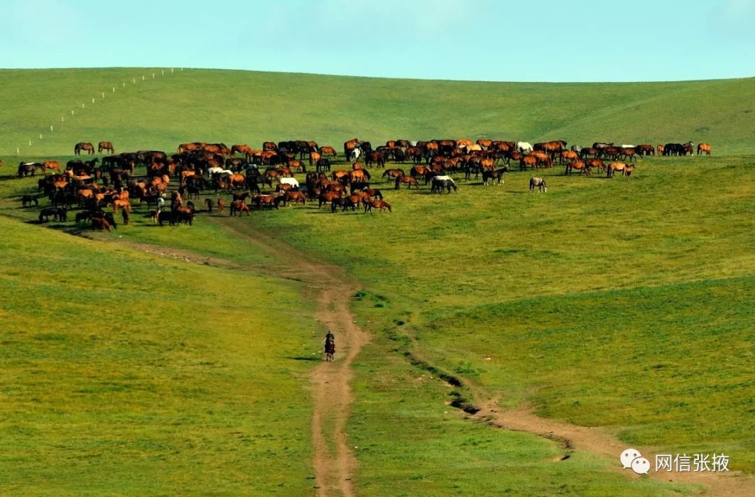 世界第一马场,世界上第一大的马场在哪里呢