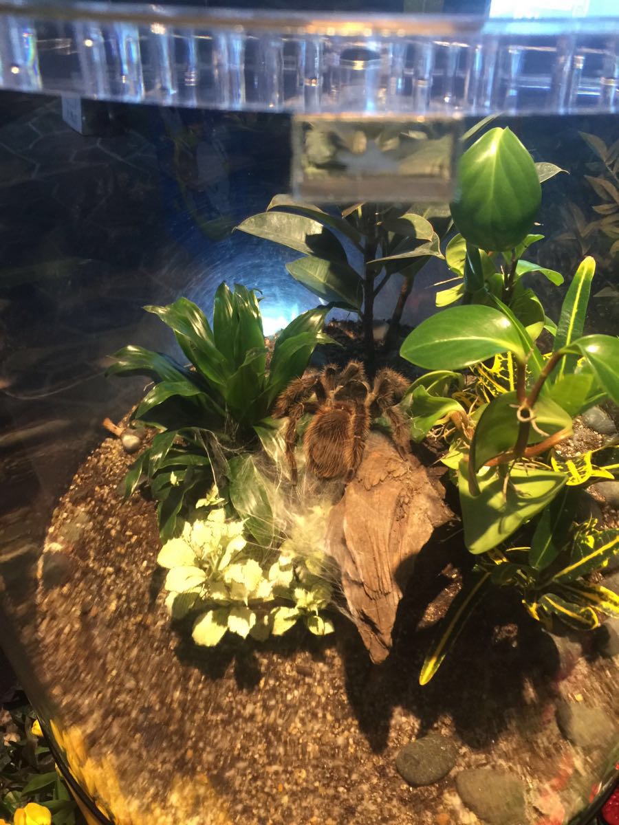 首尔一天三顿饭的花销,首尔自由行花销