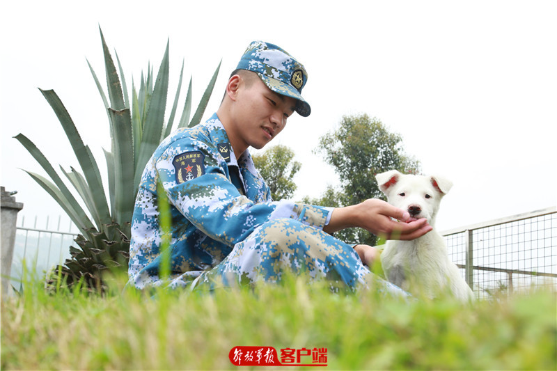 大山里的水兵完整视频,大山里的海军部队