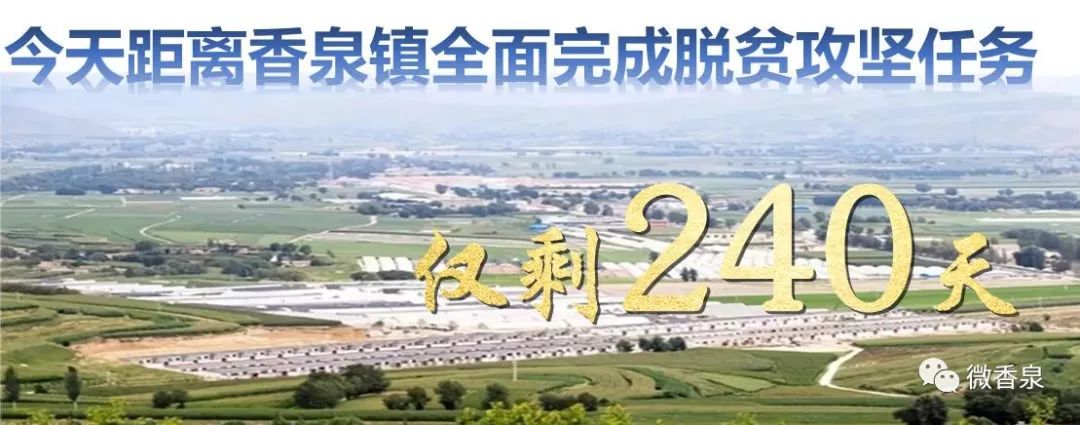 重磅！2019年甘肃省“三支一扶”、“特岗教师”实施方案公布