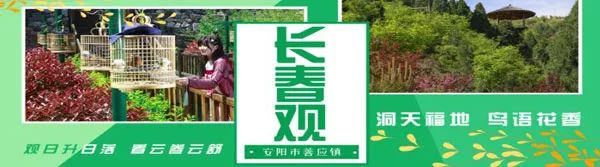 乡村振兴巡礼工程,乡村振兴整合产业资源