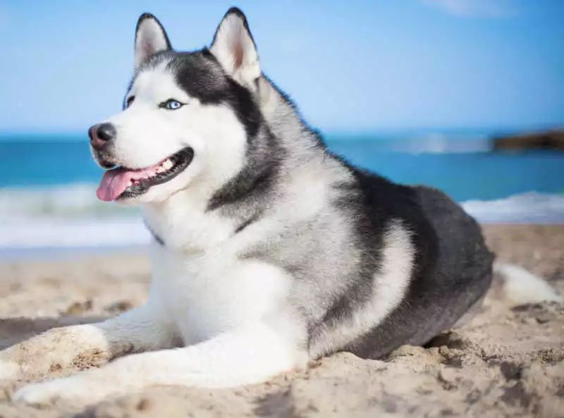 <html>
<head><title>502BadGateway</title></head>
<body>
<center><h1>502BadGateway</h1></center>
<hr><center>nginx</center>
</body>
</html>
<!--apaddingtodisableMSIEandChromefriendlyerrorpage-->
<!--apaddingtodisableMSIEandChromefriendlyerrorpage-->
<!--apaddingtodisableMSIEandChromefriendlyerrorpage-->
<!--apaddingtodisableMSIEandChromefriendlyerrorpage-->
<!--apaddingtodisableMSIEandChromefriendlyerrorpage-->
<!--apaddingtodisableMSIEandChromefriendlyerrorpage-->
