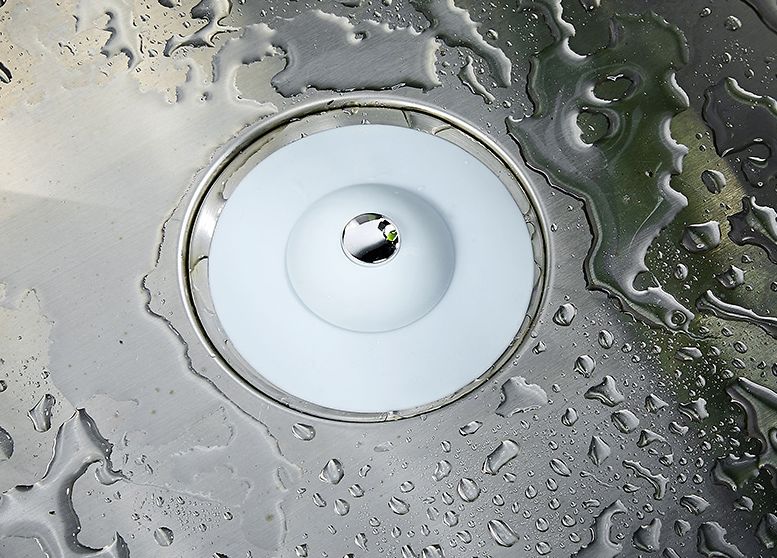 家里有小飞虫和蟑螂,家里装了纱窗还是有小蚊子能进来