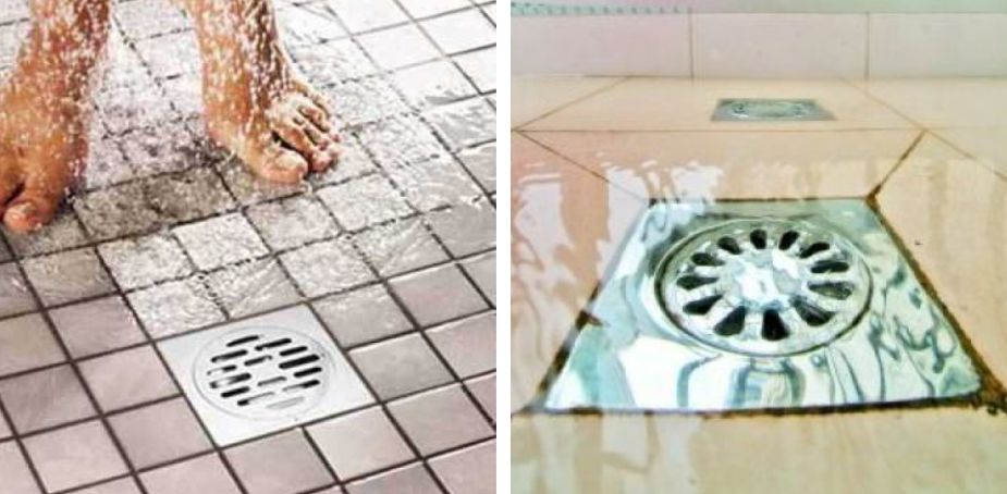 家里有小飞虫和蟑螂,家里装了纱窗还是有小蚊子能进来