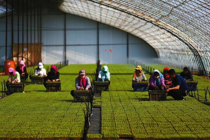 行走在大漠戈壁,行走在新疆的胡杨