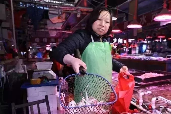 秦皇岛禁渔期还可以赶海吗,秦皇岛禁渔期在哪买海鲜