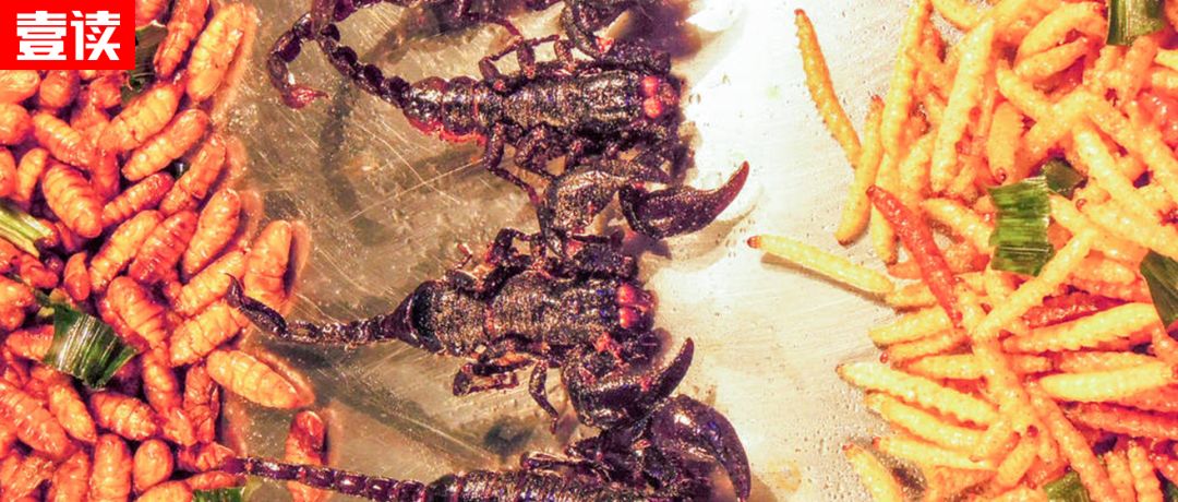 70岁老人补肾最佳方法,50岁男人补肾最快的方法