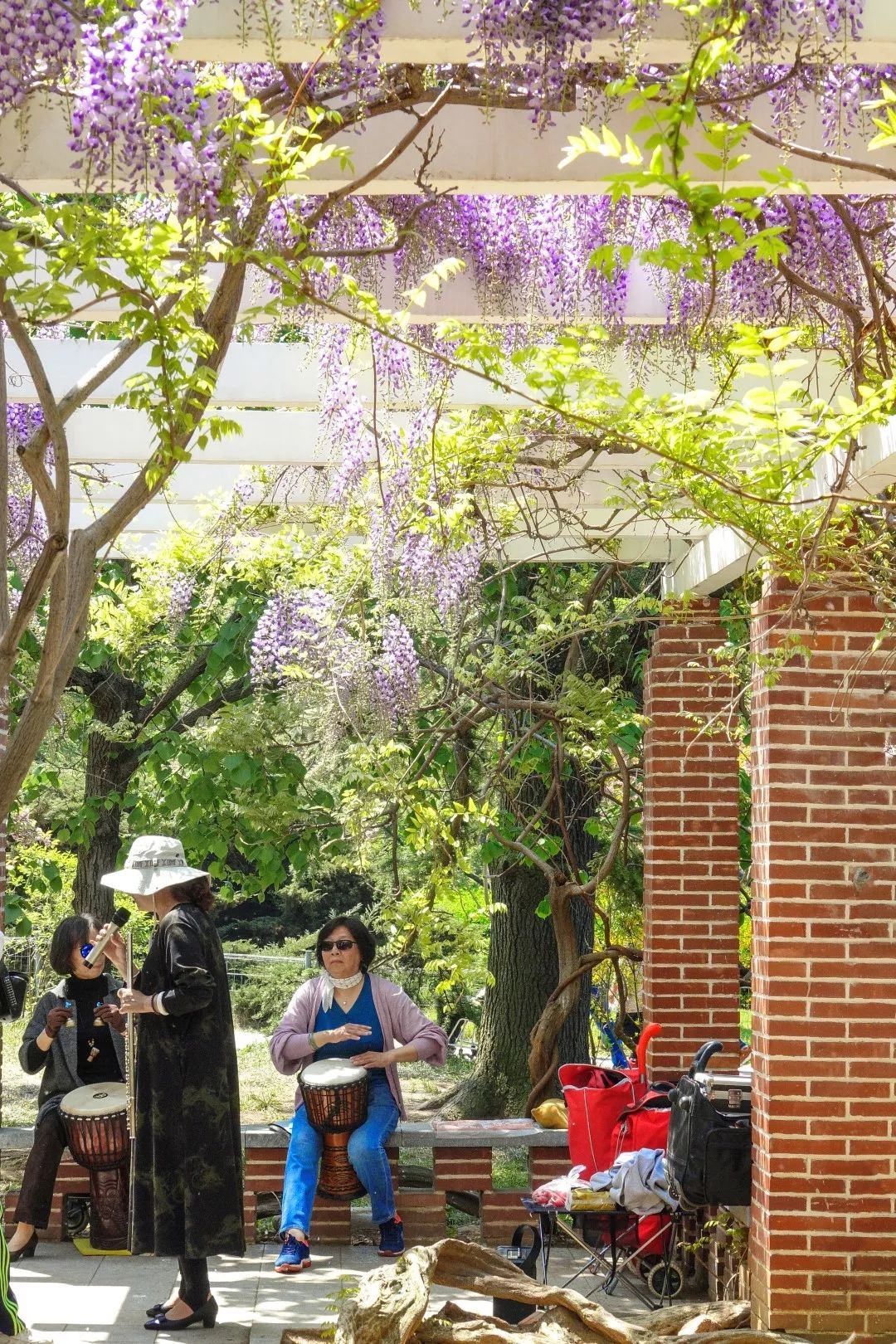 闈掑矝缁濈編鐎戝竷,闈掑矝绱壊鐎戝竷