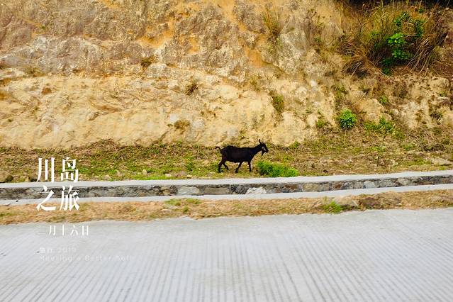 下川岛九月,广东台山下川岛旅游
