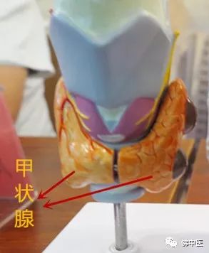 怎么预防癌症发病率,高发癌症身体预警务必重视