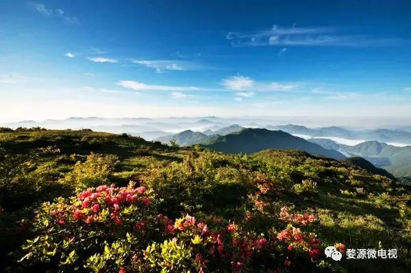 夏天婺源旅游攻略2天1晚,婺源旅游攻略三天两夜自由行